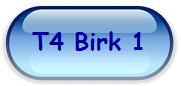 T4 Birk 1
